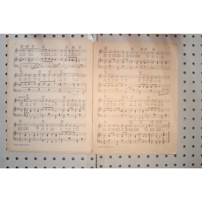 1928 - All by yourself in the moonlight - Sheet Music