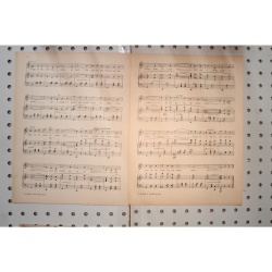 1930 - The rogue song the white dove - Sheet Music