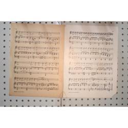 1922 - Carolina in the morning - Sheet Music