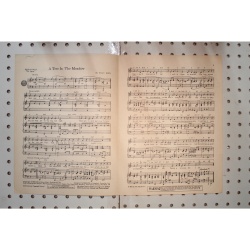 1967 - A tree in the meadow - Sheet Music