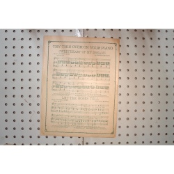 1906 - Spring song Arthur Lamb - Sheet Music