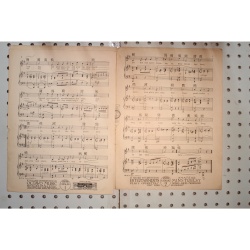 1929 - My song of the Nile - Sheet Music