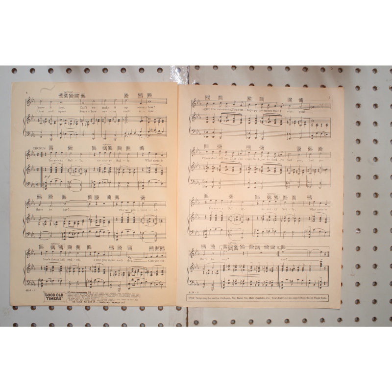 1928 - Im sorry Sally - Sheet Music