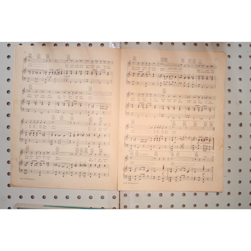1928 - Doing the raccoon - Sheet Music
