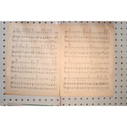 1928 - Doing the raccoon - Sheet Music