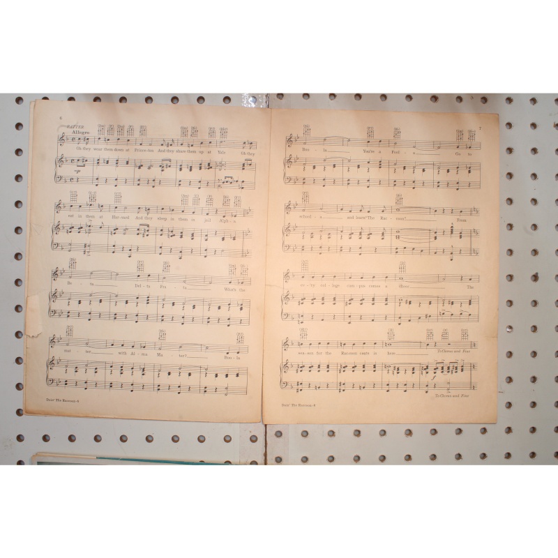 1928 - Doing the raccoon - Sheet Music