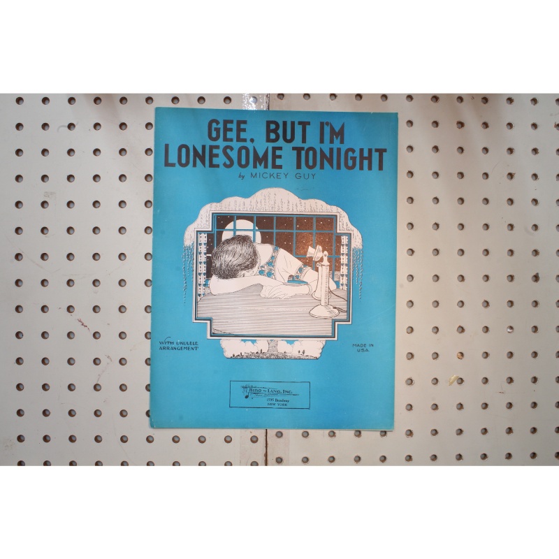 1928 - Gee but Im lonesome tonight - Sheet Music