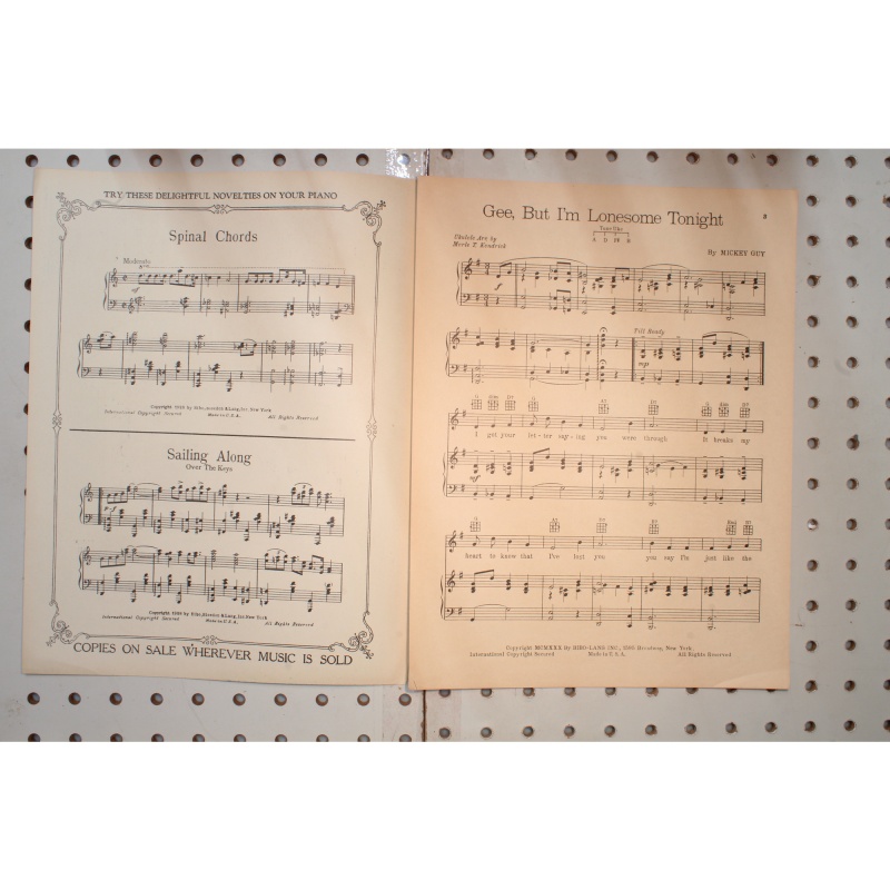 1928 - Gee but Im lonesome tonight - Sheet Music