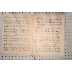 1928 - Gee but Im lonesome tonight - Sheet Music