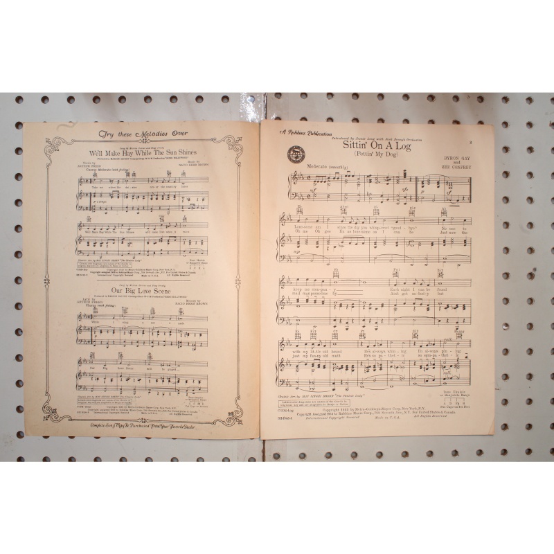 1933 - Sitting on a log Pat and my dog - Sheet Music