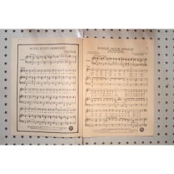 1948 - Toolie oolie Doolie the yodel polka - Sheet Music