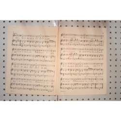 1948 - Toolie oolie Doolie the yodel polka - Sheet Music