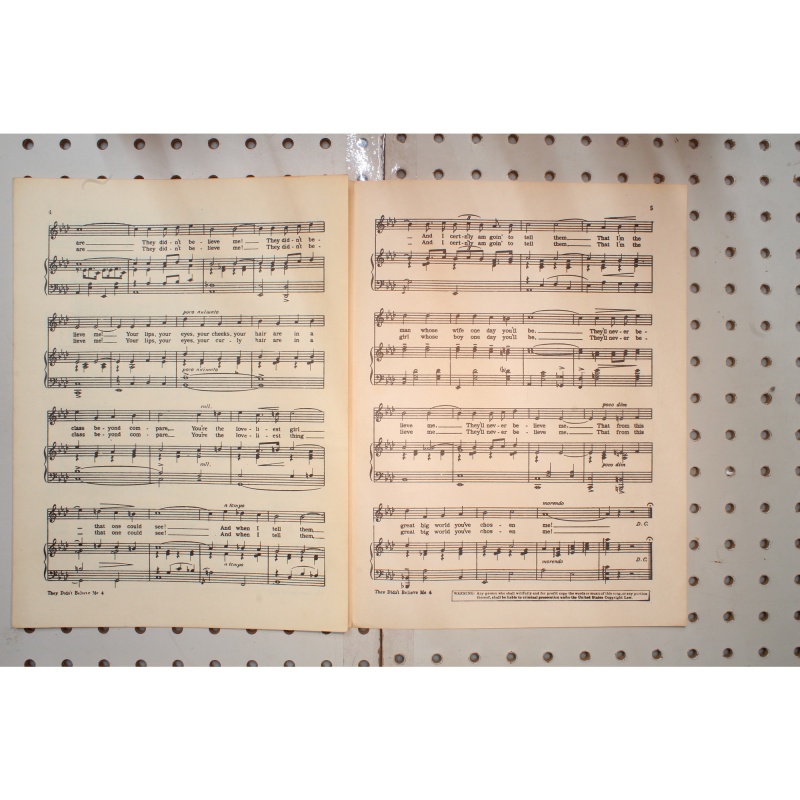 1914 - They didnt believe me till the clouds roll by - Sheet Music