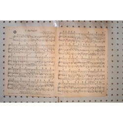 1931 - I apologize champ Butler - Sheet Music