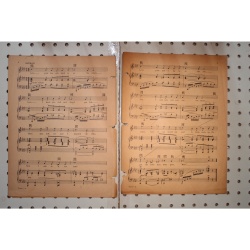 1929 - Love your spell is everywhere the trespasser - Sheet Music