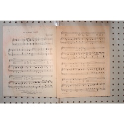 1923 - Sun-kist rose - Sheet Music
