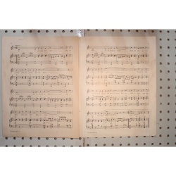 1923 - Sun-kist rose - Sheet Music