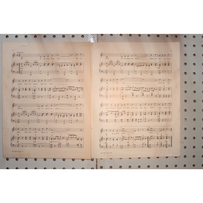 1923 - Sun-kist rose - Sheet Music