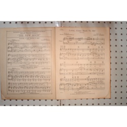 1928 - Lover come back to me the new moon - Sheet Music