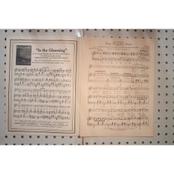 1920 - That naughty waltz - Sheet Music