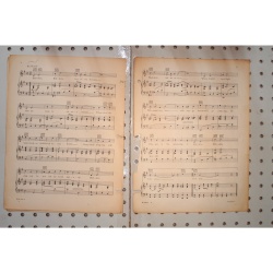 1928 - Redskin theme song - Sheet Music