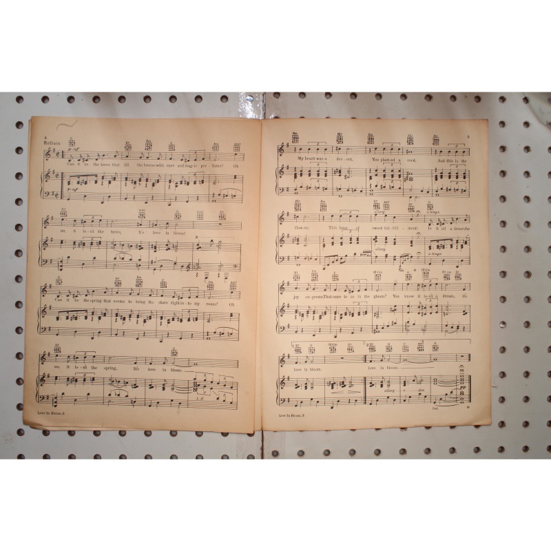 1934 - Love in bloom she loves me not being Crosby - Sheet Music