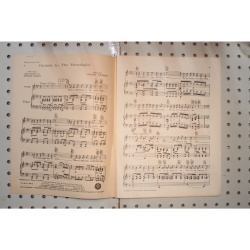 1933 - Orchids in the moonlight flying down to Rio - Sheet Music