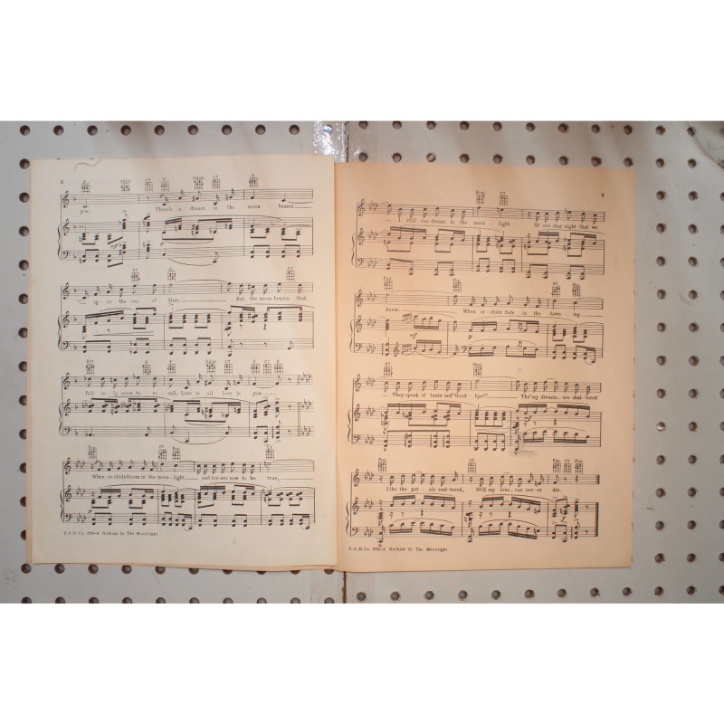 1933 - Orchids in the moonlight flying down to Rio - Sheet Music