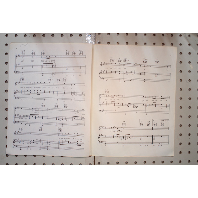 1981 - Arthur Christopher Cross theme best that you can do - Sheet Music