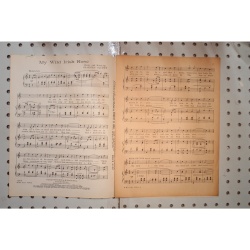 1899 - My wild Irish Rose - Sheet Music