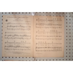 1928 - A precious little thing called love - Sheet Music