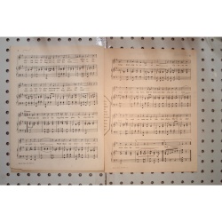 1923 - Who will take the place of the Songbird now gone - Sheet Music