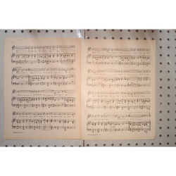 1924 - My day will come when your days gone - Sheet Music