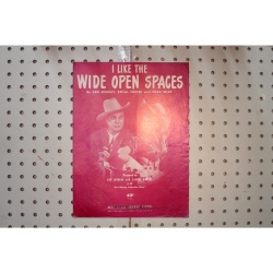 1951 - I like the wide open spaces - Sheet Music