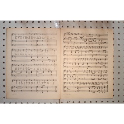 1919 - Little yaller dog - Sheet Music