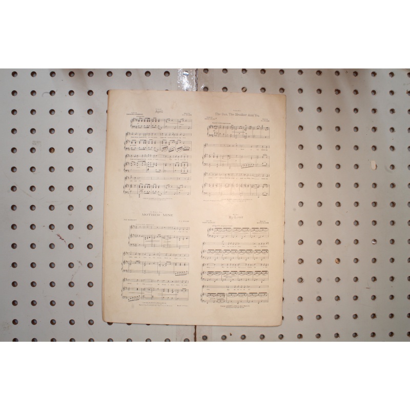 1919 - Little yaller dog - Sheet Music