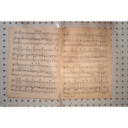 1928 - Button up your overcoat follow thru - Sheet Music