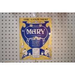 1920 - The love nest Mary musical comedy - Sheet Music