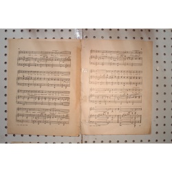 1920 - The love nest Mary musical comedy - Sheet Music