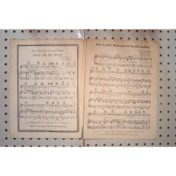 1941 - JUST A LITTLE BIT SOUTH OF NORTH CAROLINA BY SAMMY SKYLER, BETTE CANNON A