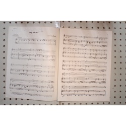 1967 - AQUARIUS HAIR BY JAMES RADO, GEROME RAGNI AND GALT MACDERMOT - Sheet Musi