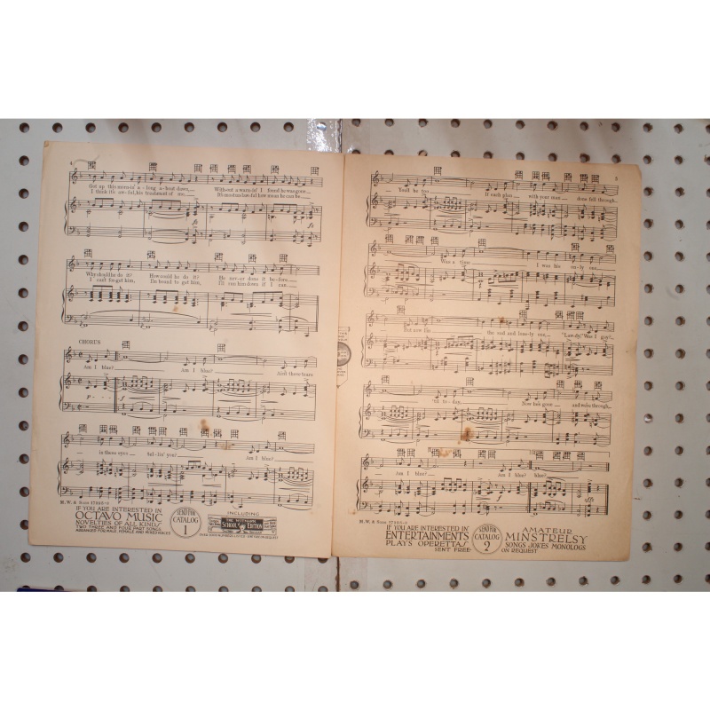 1929 - AM I BLUE? ON WITH THE SHOW BY GRANT CLARKE AND HARRY AKST - Sheet Music