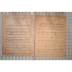 1924 - WHATLL I DO BY IRVING BERLIN - Sheet Music
