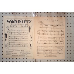 1924 - DONT BLAME IT ALL ON ME BY DORTHY TERRISS , LEO WOOD AND TED MORSE - She