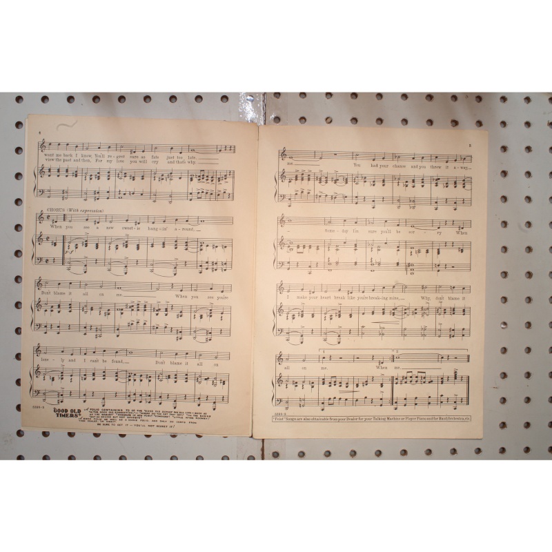 1924 - DONT BLAME IT ALL ON ME BY DORTHY TERRISS , LEO WOOD AND TED MORSE - She