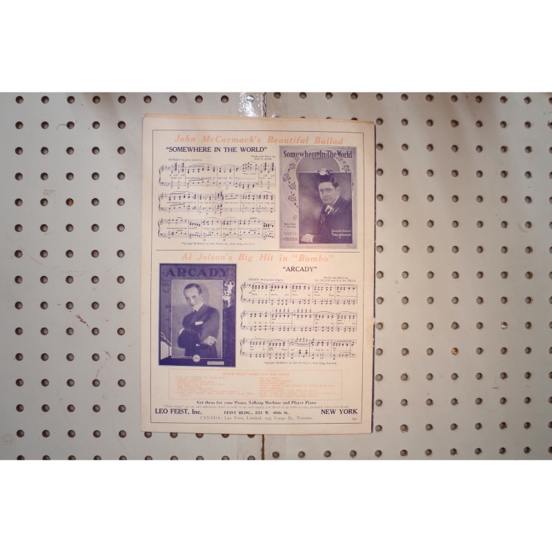 1924 - DONT BLAME IT ALL ON ME BY DORTHY TERRISS , LEO WOOD AND TED MORSE - She