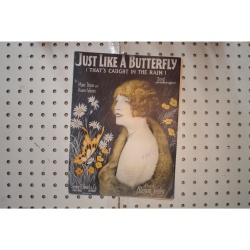 1927 - JUST LIKE A BUTTERFLY ( THATS CAUGHT IN THE RAIN) BY MORT DIXON AND HAR