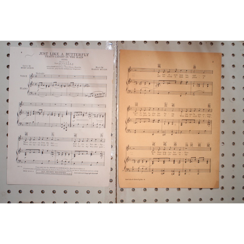 1927 - JUST LIKE A BUTTERFLY ( THATS CAUGHT IN THE RAIN) BY MORT DIXON AND HAR