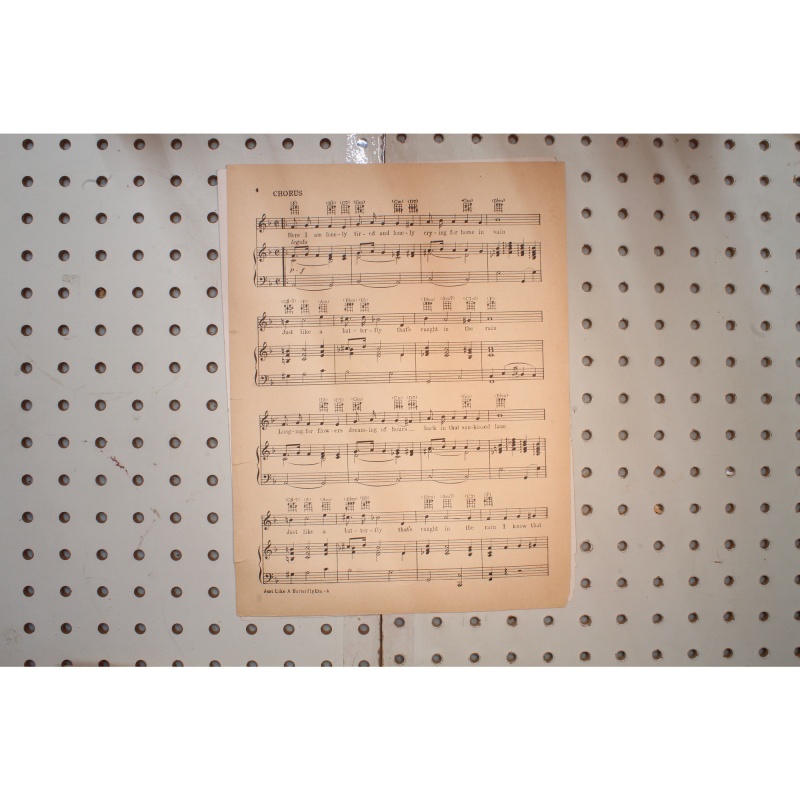 1927 - JUST LIKE A BUTTERFLY ( THATS CAUGHT IN THE RAIN) BY MORT DIXON AND HAR