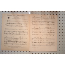 1928 - A PRECIOUS LITTLE THING CALLED LOVE BY LOU DAVIS AND J. FRED COOTS - Shee